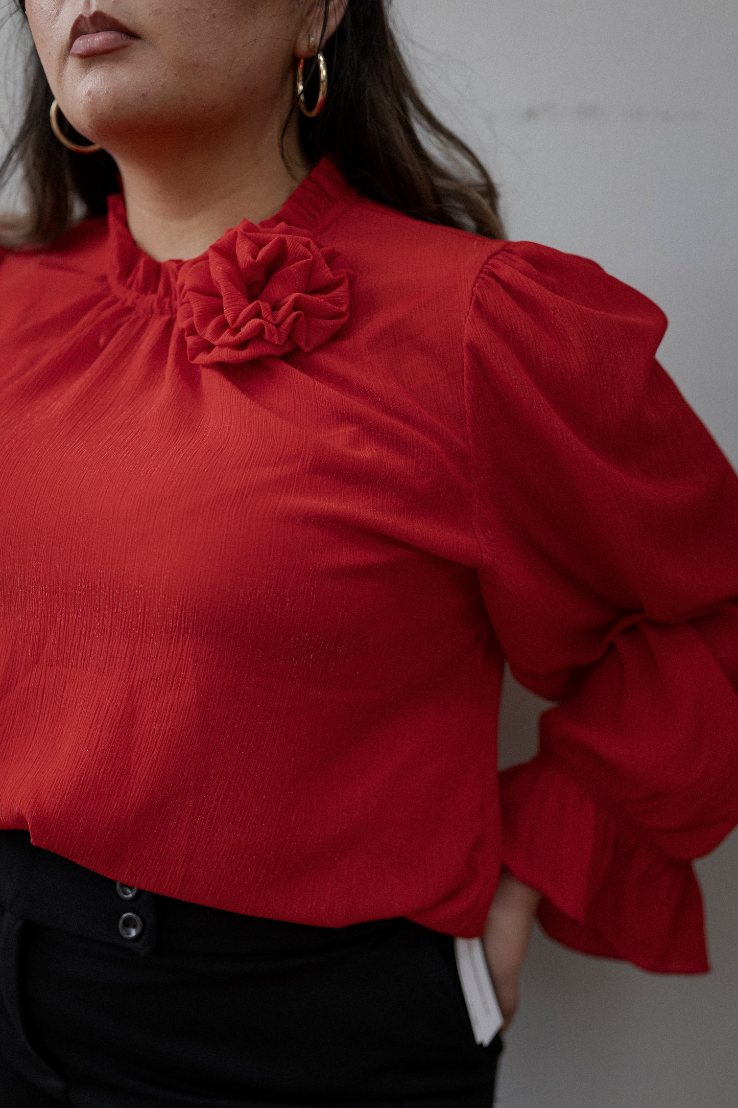 Blusa De Shifon Manga Larga