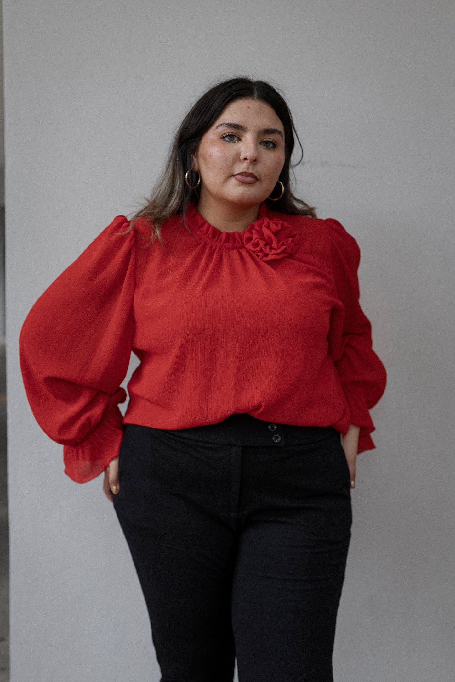 Blusa De Shifon Manga Larga