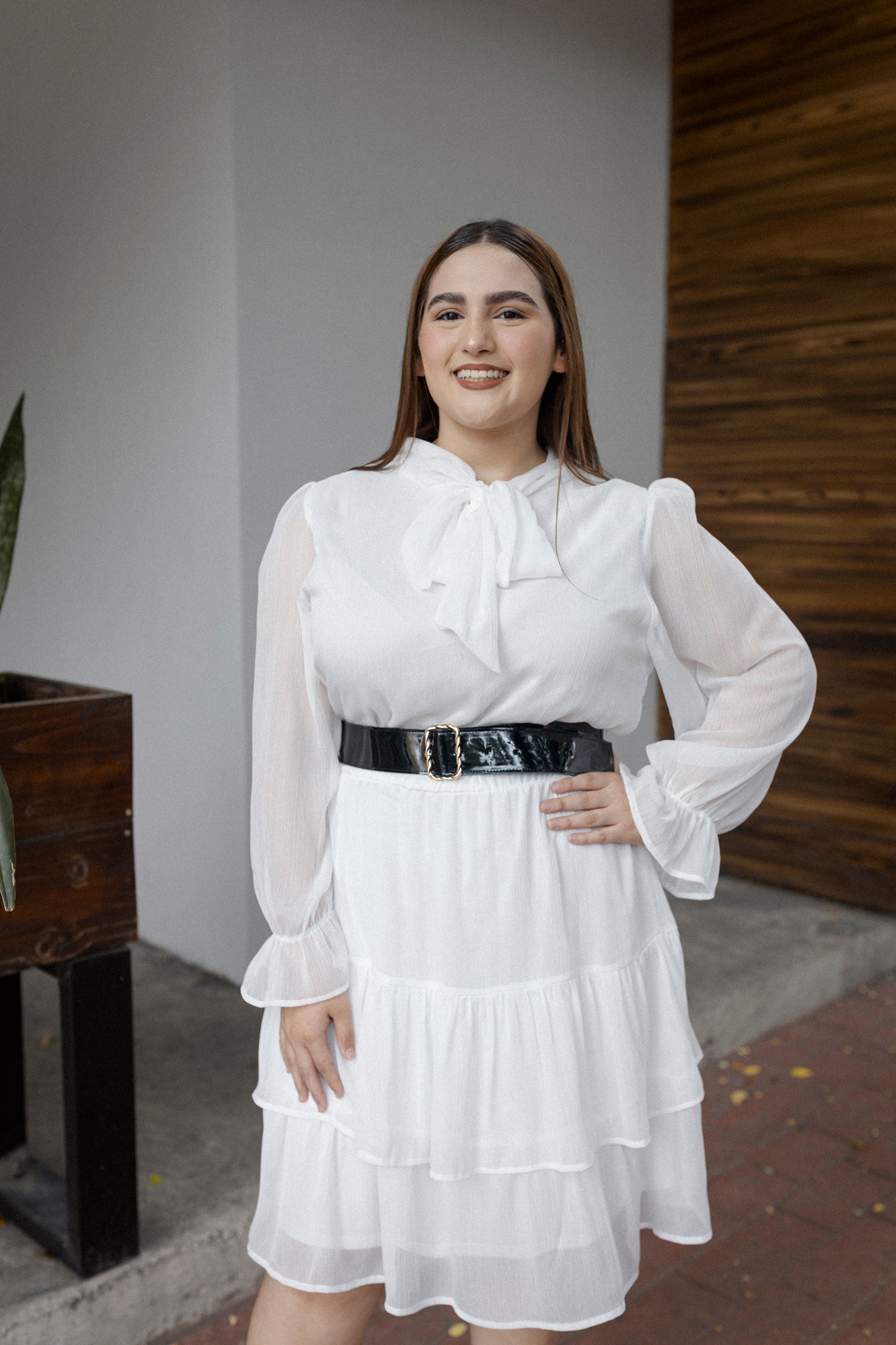 Vestido Manga Larga Con Cinto